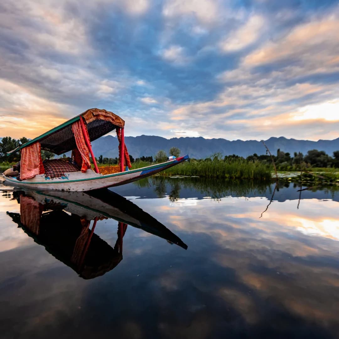 Kashmir